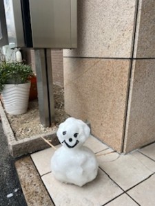 雪の日②image0