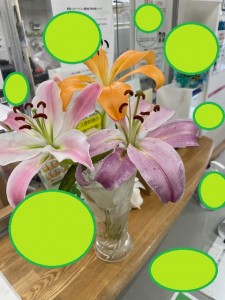 花0