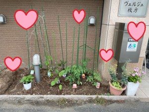 菜園0